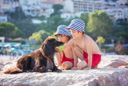 cão e duas crianças a brincar cão e duas crianças a brincar